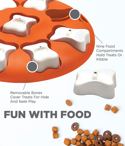 Outward Hound Nina Ottosson Interactive Puzzle Game Dog Toys