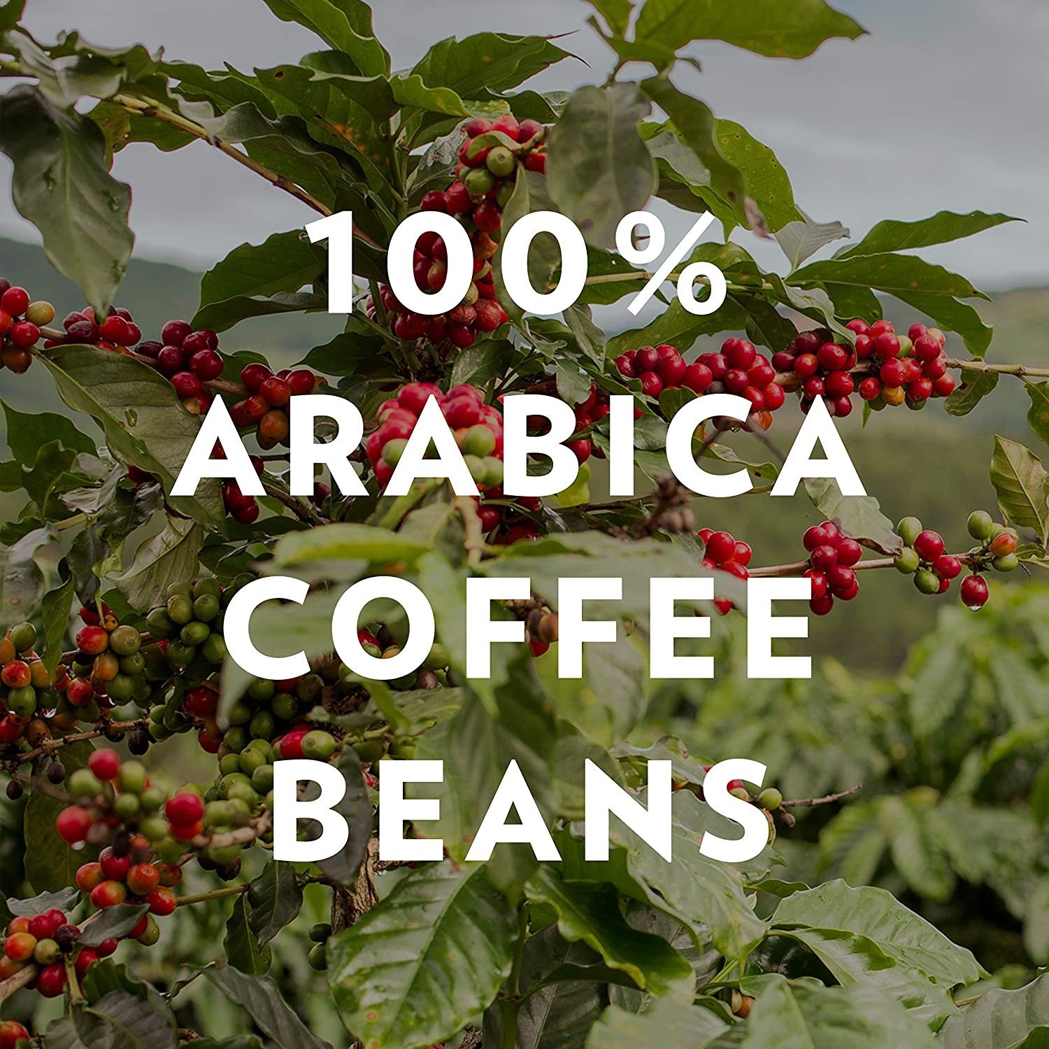 Community Coffee 2X Caffeine 60 Count Coffee Pods, Dark Roast , Compatible with Keurig 2.0 K-Cup Brewers, 10 Count (Pack of 6)