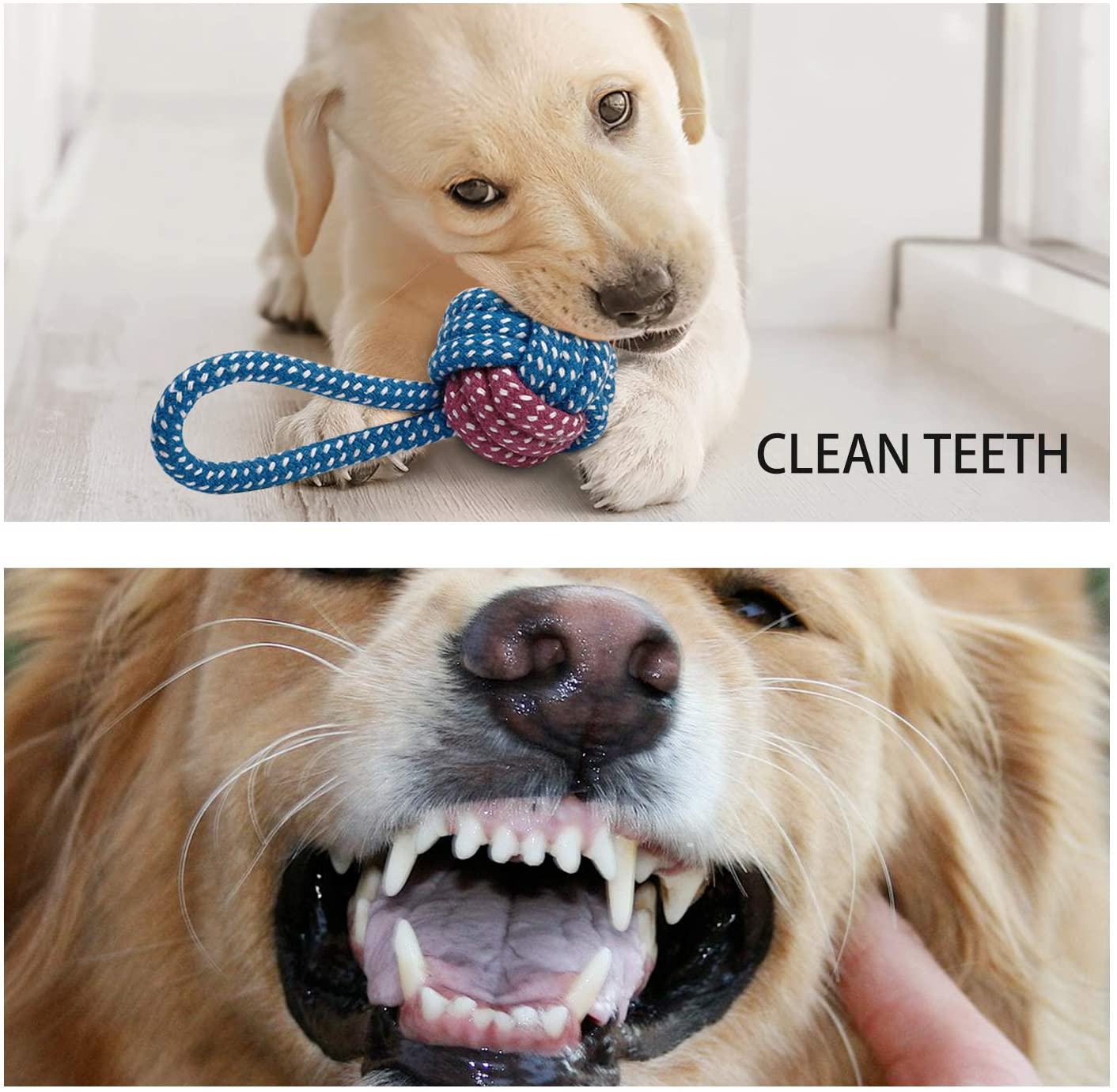 Toozey Puppy Toys for Small Dogs, 7 Pack Small Dog Toys, Cute Calf Squeaky Toys for Dogs, Durable Puppy Teething Toys, 100% Natural Cotton Ropes Chew Toys for Puppies, Non-Toxic and Safe