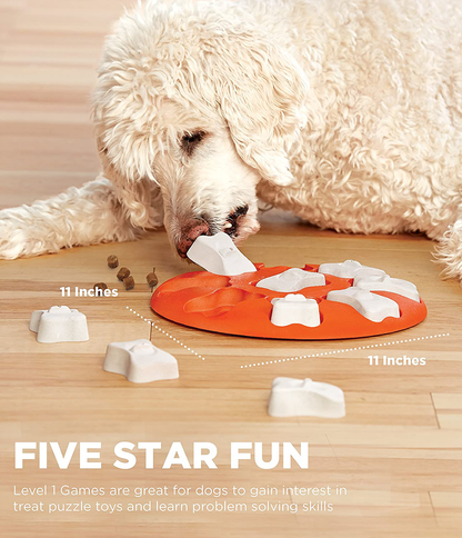 Outward Hound Nina Ottosson Interactive Puzzle Game Dog Toys