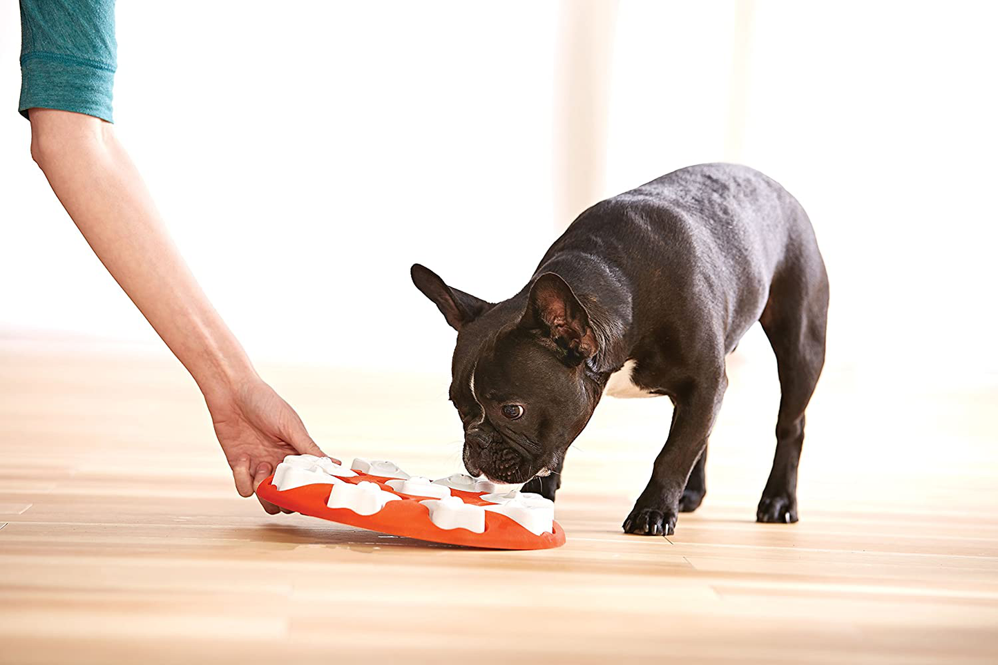 Outward Hound Nina Ottosson Interactive Puzzle Game Dog Toys