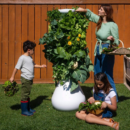 Lettuce Grow 12-Plant Hydroponic Growing System Kit 3'8", Outdoor Indoor Vertical Garden Herb Vegetable Planter Tower, Large Home Organic Gardening with Self Watering with Pump, BPA Free Food Grade