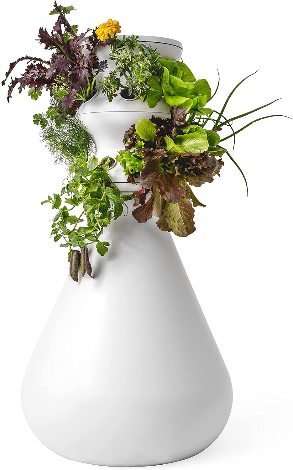Lettuce Grow 12-Plant Hydroponic Growing System Kit 3'8", Outdoor Indoor Vertical Garden Herb Vegetable Planter Tower, Large Home Organic Gardening with Self Watering with Pump, BPA Free Food Grade
