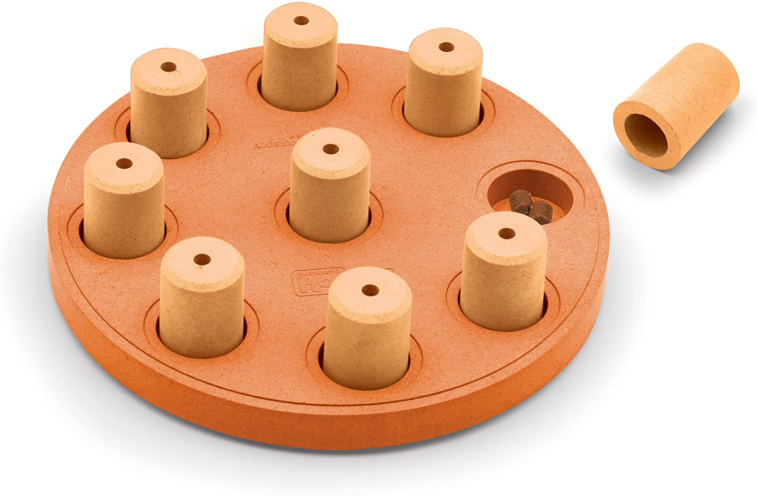 Outward Hound Nina Ottosson Interactive Puzzle Game Dog Toys