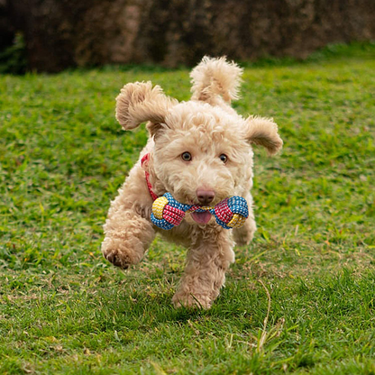 Toozey Puppy Toys for Small Dogs, 7 Pack Small Dog Toys, Cute Calf Squeaky Toys for Dogs, Durable Puppy Teething Toys, 100% Natural Cotton Ropes Chew Toys for Puppies, Non-Toxic and Safe