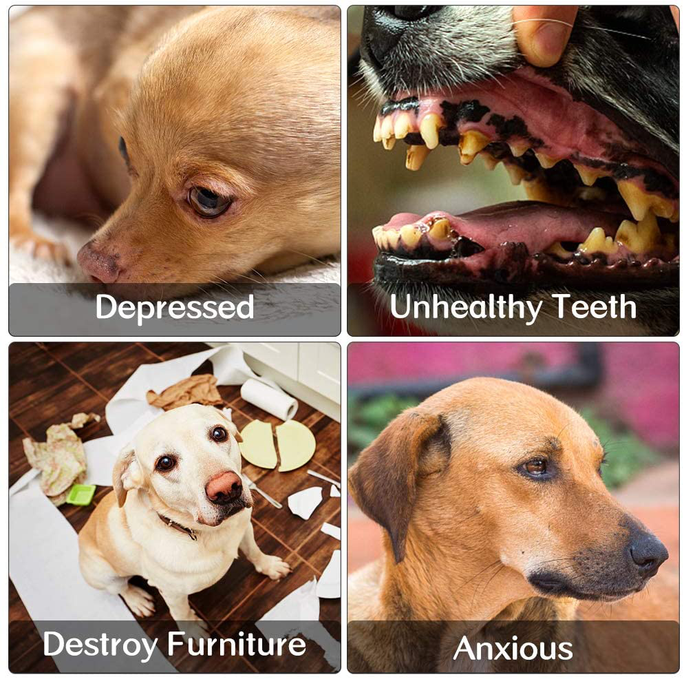 M JJYPET Small Dog Chew Toys,Puppy Teething Toys, No Stuffing and Stuffing Squeaky Toys