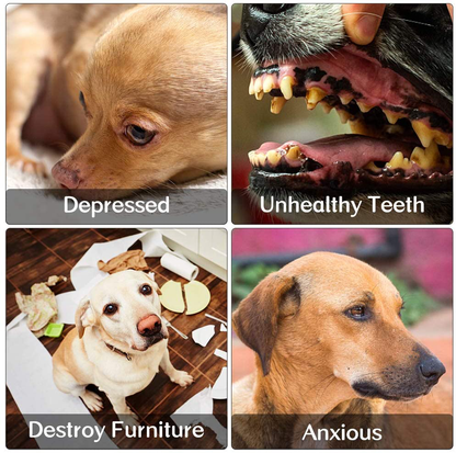 M JJYPET Small Dog Chew Toys,Puppy Teething Toys, No Stuffing and Stuffing Squeaky Toys