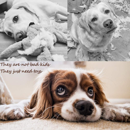 PLAYJOY Small Dog Toys/Puppy Chew Toys,10 Pack Interactive Dog Toys for Boredom, Cute Dog Toys for Small/Medium Dogs, Squeaky Plush Dog Toys, Dog Rope Toys
