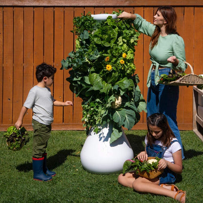 Lettuce Grow 12-Plant Hydroponic Growing System Kit 3'8", Outdoor Indoor Vertical Garden Herb Vegetable Planter Tower, Large Home Organic Gardening with Self Watering with Pump, BPA Free Food Grade