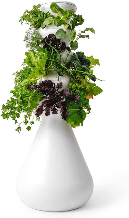 Lettuce Grow 12-Plant Hydroponic Growing System Kit 3'8", Outdoor Indoor Vertical Garden Herb Vegetable Planter Tower, Large Home Organic Gardening with Self Watering with Pump, BPA Free Food Grade